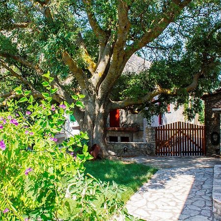 Menelia Cottage Platístoma Habitación foto