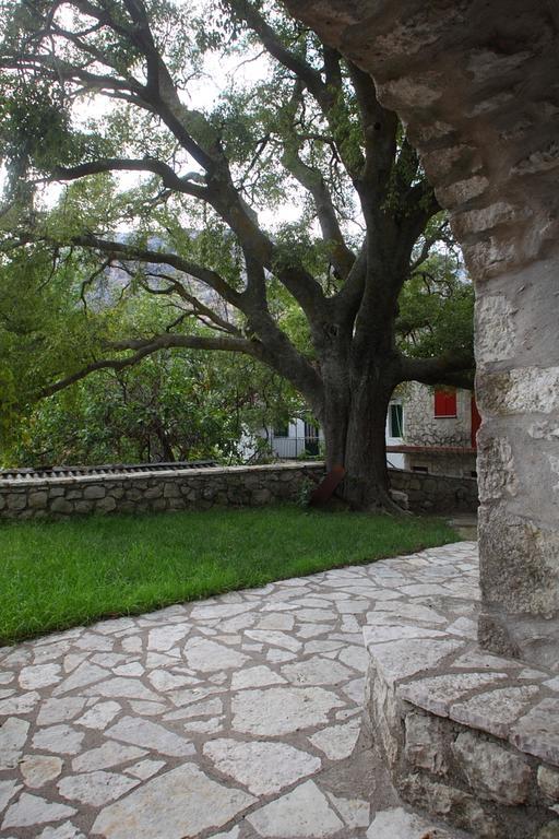 Menelia Cottage Platístoma Habitación foto