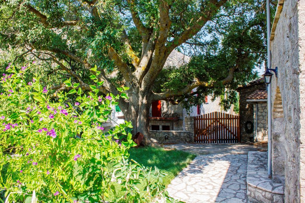 Menelia Cottage Platístoma Habitación foto